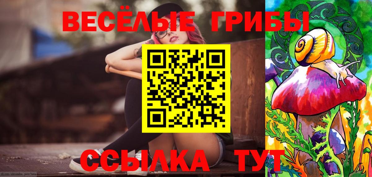 Псилоцибиновые грибы мухоморы  Вход с VPN  Вязники 