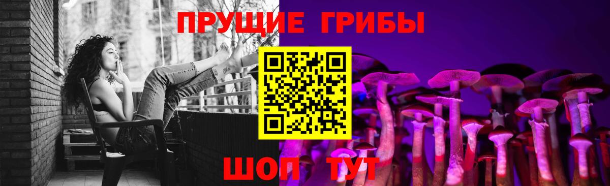 Галлюциногенные грибы Psilocybine cubensis Вязники